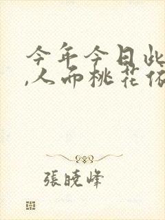 今年今日此门中,人面桃花依旧笑春风