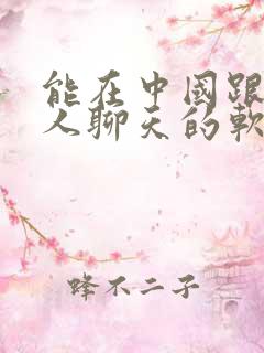 能在中国跟外国人聊天的软件