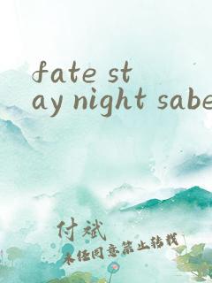 fate stay night saber线(2006)