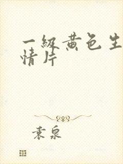 一级黄色生活爱情片