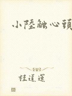 小陆触心头小说