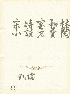 宋时宴和林允舒小说免费阅读