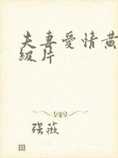 夫妻爱情黄色一级片