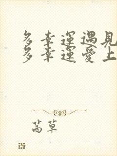 多幸运遇见你,多幸运爱上你是什么歌