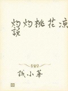 灼灼桃花凉 小说