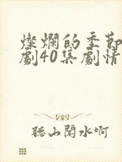 灿烂的季节电视剧40集剧情介绍