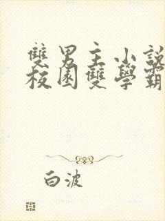 双男主小说推文校园双学霸