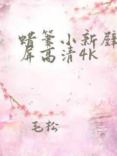 蜡笔小新壁纸全屏高清4k