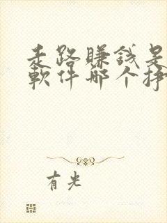 走路赚钱是哪个软件哪个挣的多呀