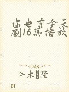 你也有今天电视剧16集播放免费观看