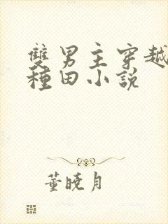 双男主穿越古代种田小说