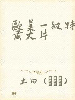 欧美一级特黄特黄大片