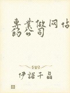 专业做网站开发的公司