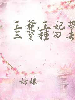 王爷,王妃带着三宝种田去了txt下载