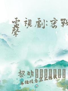 电视剧:密战无声