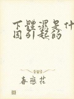 下体湿是什么原因引起的