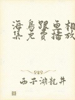 海鸟跟鱼相爱全集免费播放在线观看