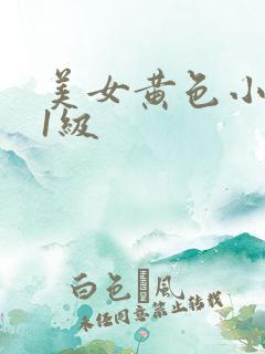 美女黄色小视频1级