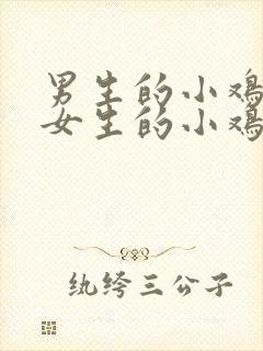 男生的小鸡插进女生的小鸡视频