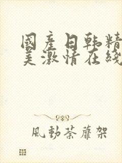 国产日韩精品欧美激情在线