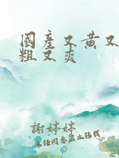 国产又黄又猛又粗又爽