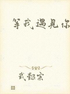 等我遇见你歌词