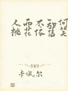 人面不知何处去桃花依旧笑春风表达了什么