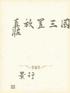 真放置三国ok版