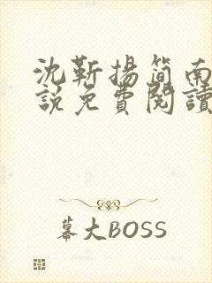 沈靳扬简南栀小说免费阅读最新章节