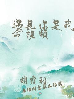 遇见你是我的宿命视频