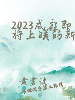 2023成毅即将上映的新剧