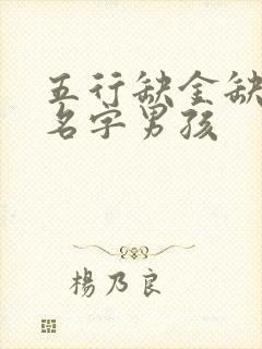 五行缺金缺木的名字男孩