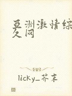 亚洲激情综合久久网