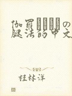 伽罗ちゃんへの腿法的中文