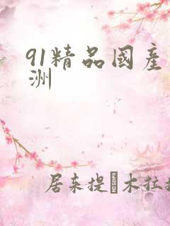 91精品国产亚洲