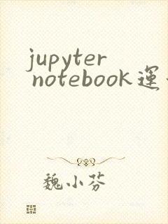 jupyter notebook运行出现*号