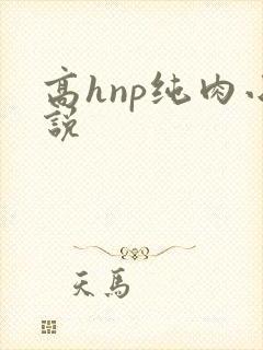 高hnp纯肉小说