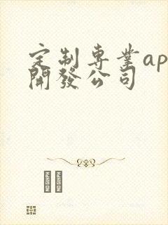 定制专业app开发公司