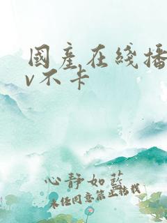 国产在线播放av不卡