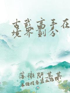 古武高手在都市境界划分