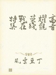 特战荣耀高清全集在线观看