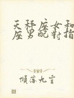 天秤座女和摩羯座男配对指数