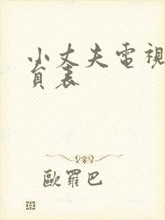 小丈夫电视剧演员表