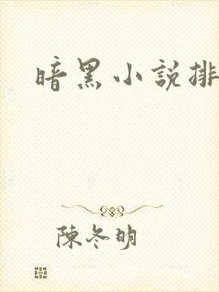 暗黑小说排行榜