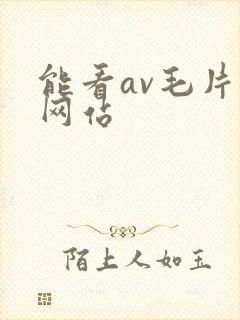 能看av毛片的网站