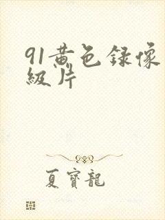 91黄色录像一级片