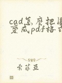 cad怎么把图变成pdf格式