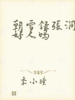 朝雪录张洞玄是好人吗