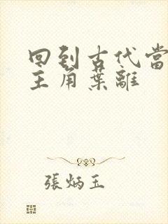 回到古代当皇帝主角叶离