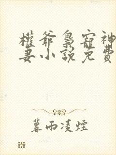 权爷枭宠神秘娇妻小说免费看